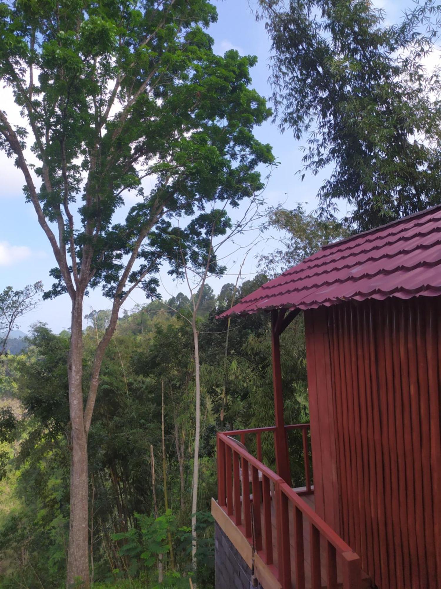 Happy Monkeys Village Sidomukti Ngoại thất bức ảnh